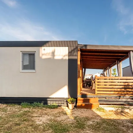 Mobile House Seashell Kemping *