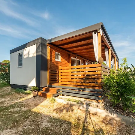 Mobile House Seashell Kemp